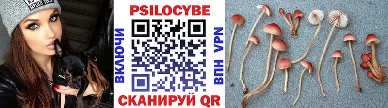 Купить  Можайск  Псилоцибиновые грибы GOLDEN TEACHER 